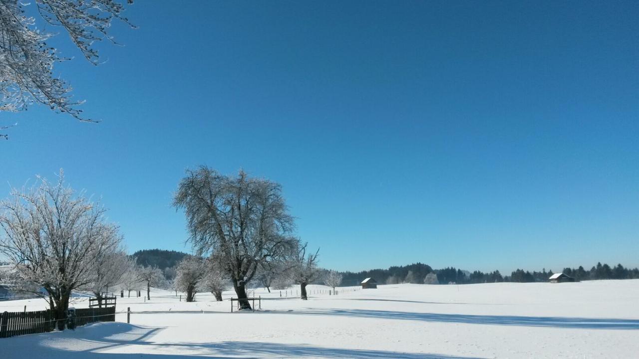 Herzberger Ferienwohnungen Scheidegg Exteriör bild